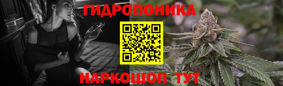 Бошки Шишки план Хабаровск